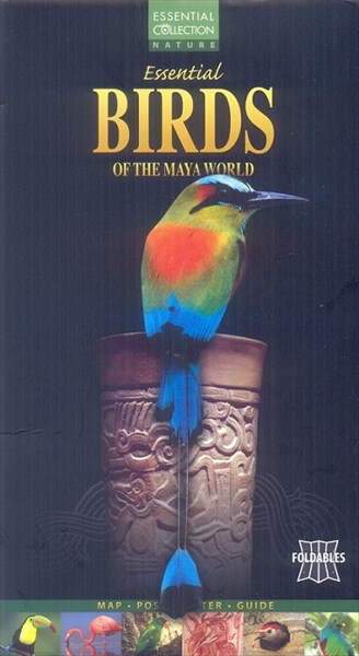 143-Птицы майя